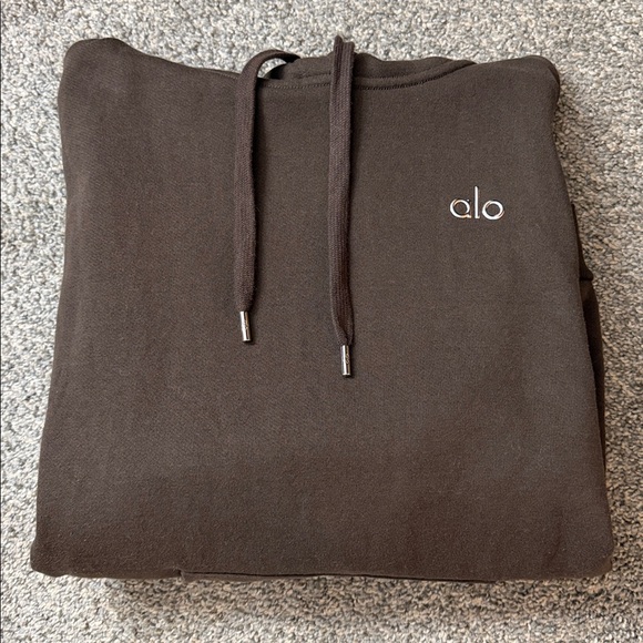 ALO Accolade Hoodie - Picture 1 of 5